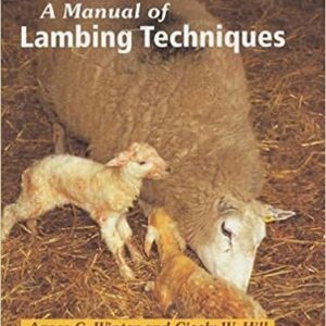A Manual of Lambing Techniques by Agnes Winter & Cicely Hill
