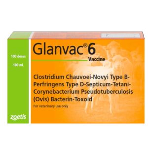 Glanvac 6