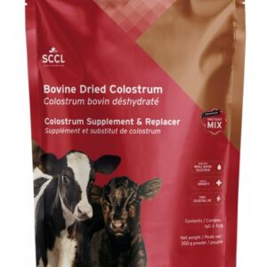 Grober Bovine  Colostrum