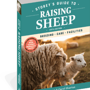 Storey's Guide to Raising Sheep